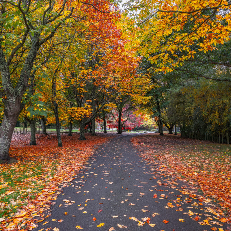 Benefits of Sidewalk Sweeping in Kansas City